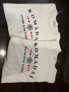 tシャツLサイズ　2枚