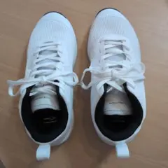 TIGORA nextFITバスケット ホワイト シューズ(女性用)24.0