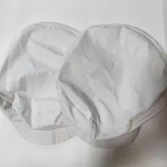 Item thumbnail for item b0c94161-2c79-426e-b68c-9661f432212e