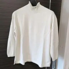 Item thumbnail for item e2d7f53c-ba36-47c1-8b53-8fb0bcd43ba6