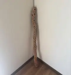 Item thumbnail for item 50f8fd4a-6c34-45b6-884c-1306494bfbc1