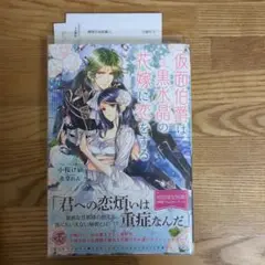 仮面伯爵は黒水晶の花嫁に恋をする 特典ペーパー付き