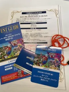 11/18 USJ貸切ナイト 1名分