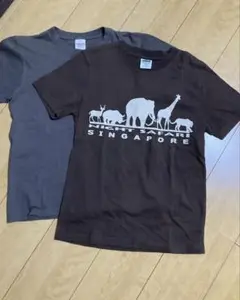 ナイトサファリ シンガポール Tシャツ2点セット150