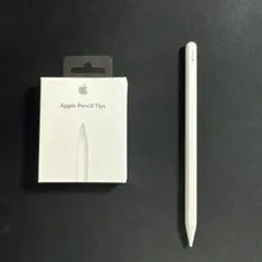 Apple Pencil Apple Pencil tips ジャンク品