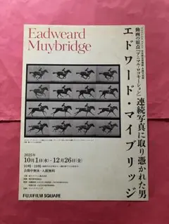 Item thumbnail for item a91492d9-950a-4708-b9b7-59d6ee71af17