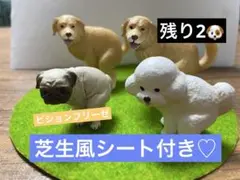 Item thumbnail for item 366d47a5-c5fc-435c-9d99-234dd7fcb0d3