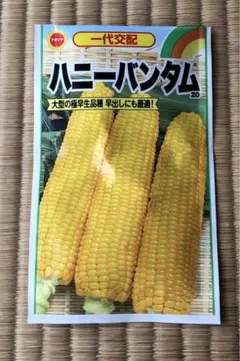 <野菜の種>ハニーバンタム とうもろこし 30粒 小分け品