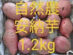 茨城県産 自然農栽培の安納芋 1.2kg