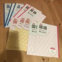 スタディポイントゼミ　国語算数　5年生　基本テキスト