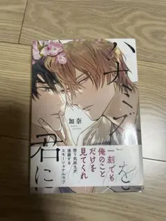 ハナミズキを君に