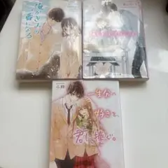 野いちご文庫　3点セット