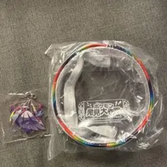 ポケモン発見大作戦　メガシンカ大作戦 サーナイト　メガサーナイト