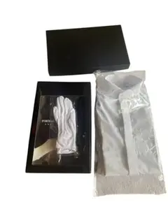 Item thumbnail for item 47daaa72-2cba-4d29-8f79-39139e565827