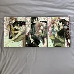 美人なジュン君の溺愛指導 3