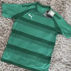 新品★未使用タグ付き★PUMA グリーン ストライプ シャツ Sサイズ