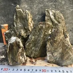 アクアリウム 渓谷石セット①★清流石 水槽レイアウト メダカ 熱帯魚
