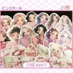 【189】♡Indigo様♡カット素材♡ピンクガール♡25枚