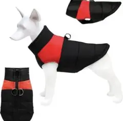 Item thumbnail for item 8f7e730a-fee2-42f8-80ae-3c48d9c9e661