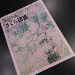 中島千波さくら図鑑