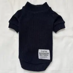 Item thumbnail for item 241757c8-7c3d-4fbc-bec9-3e4996f3136d