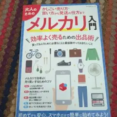 大人のためのメルカリ入門