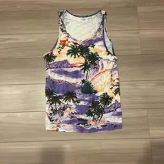 Item thumbnail for item 677cd484-652b-4f80-ba6a-941b1c383d9b