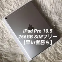 【完動品】iPad Pro 10.5 256GB SIMフリー【すぐ発送】