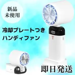 Item thumbnail for item 6b8d2706-1213-4052-ba95-b0d2b27985db
