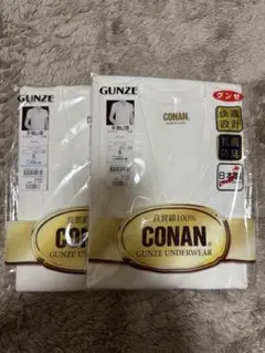 GUNZE半袖U首インナー