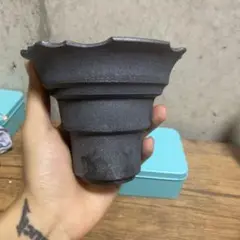 アガべ チタノタの鉢 陶器鉢 植木鉢