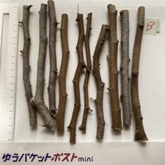 Item thumbnail for item 1930d5e2-a984-4a71-879b-89509c6032e5