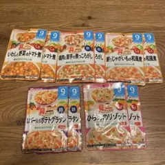 和光堂 離乳食9ヶ月以上 レトルトパウチ10パック