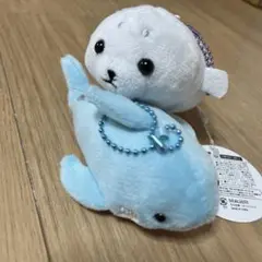 Item thumbnail for item 0c2cb6b3-f0ad-49ff-9ffa-f36f557a7bf0