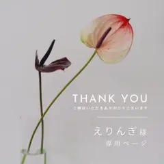 【専用ページ】えりんぎ様