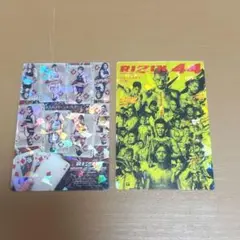 RIZIN ポテトスティック ポスターカードコレクション 37 44 15 22