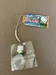 激レア 新品未使用 ハローキティ ご当地 徳島限定 鳴門わかめ 根付 ストラップ