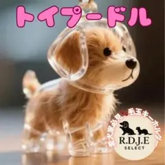 Item thumbnail for item 995871f8-45b6-467e-a3f1-ceb49de09feb