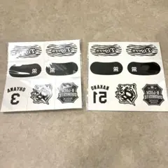 阪神タイガース　アイブラックセット