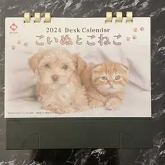 新品未使用　こいぬとこねこ　卓上カレンダー　2024