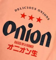 おもしろドライTシャツ　オレンジ　LL