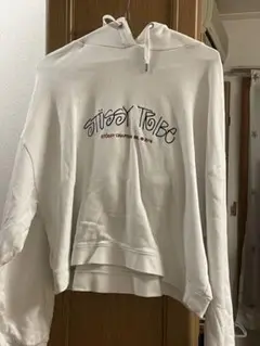 Stussy のパーカー レア