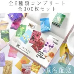 大量 フレークシール 手帳 シール 韓国雑貨 スクラップ おすそ分け H6種類