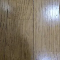 未使用☆ルイヴィトン モノグラム長財布