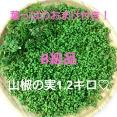 山椒の実　軸処理済み(約1.1キロ) 2025年最新】山椒の実 1キロの人気アイテム - メルカリ