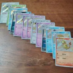 sカード色違い　13枚セット