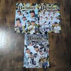 オリックス　パーフェクトガイド2023＆2024＆2025
