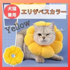 エリザベスカラー M ひまわり ペット 犬 猫 ソフト 傷口保護 去勢手術