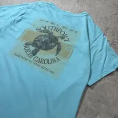 コンフォートカラーズ Southport 海ガメプリントTシャツ ターコイズ S