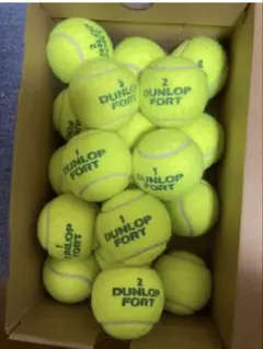 DUNLOP FORT テニスボール 44個セット